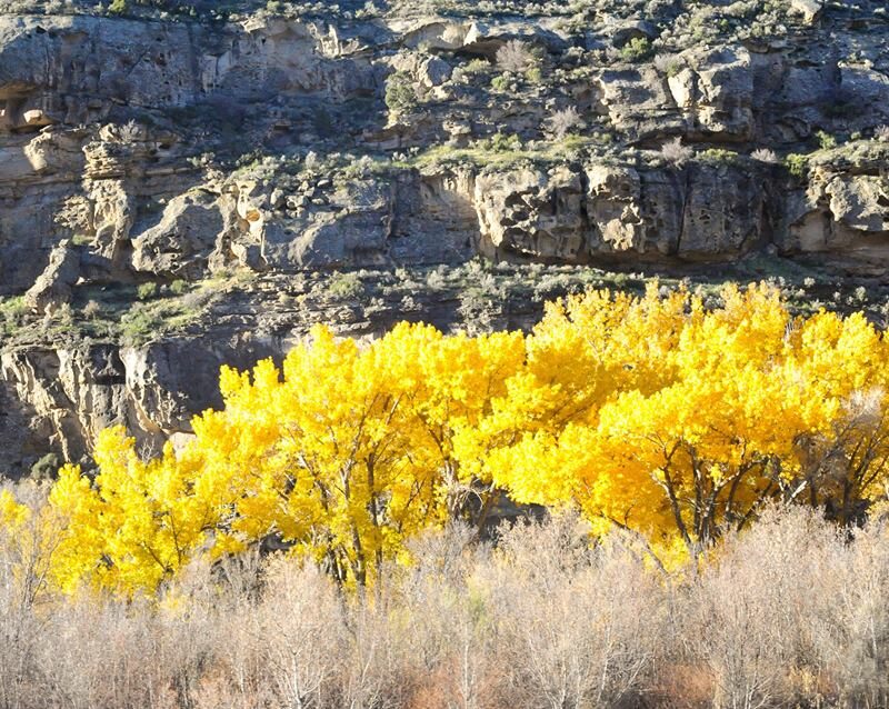 Colorado Road Trip Bucket List