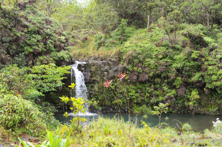 Hana, Maui – A Long and Winding Road