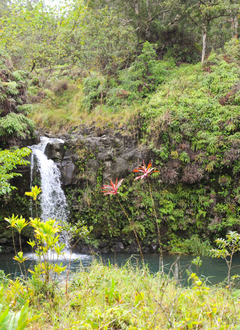 Hana, Maui – A Long and Winding Road