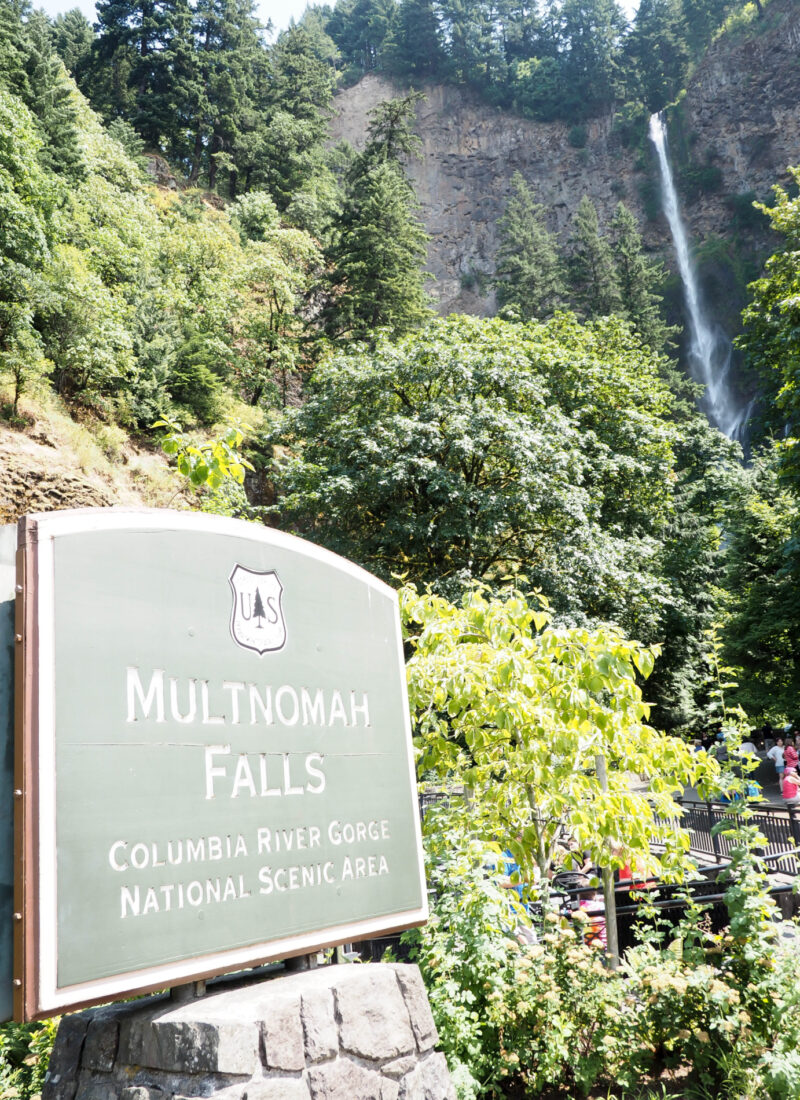 A Visit to Multnomah Falls from Portland, Oregon