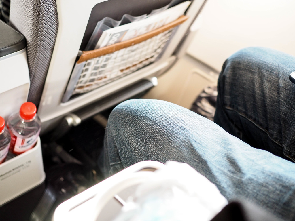 Leg Room Lufthansa Premium Economy