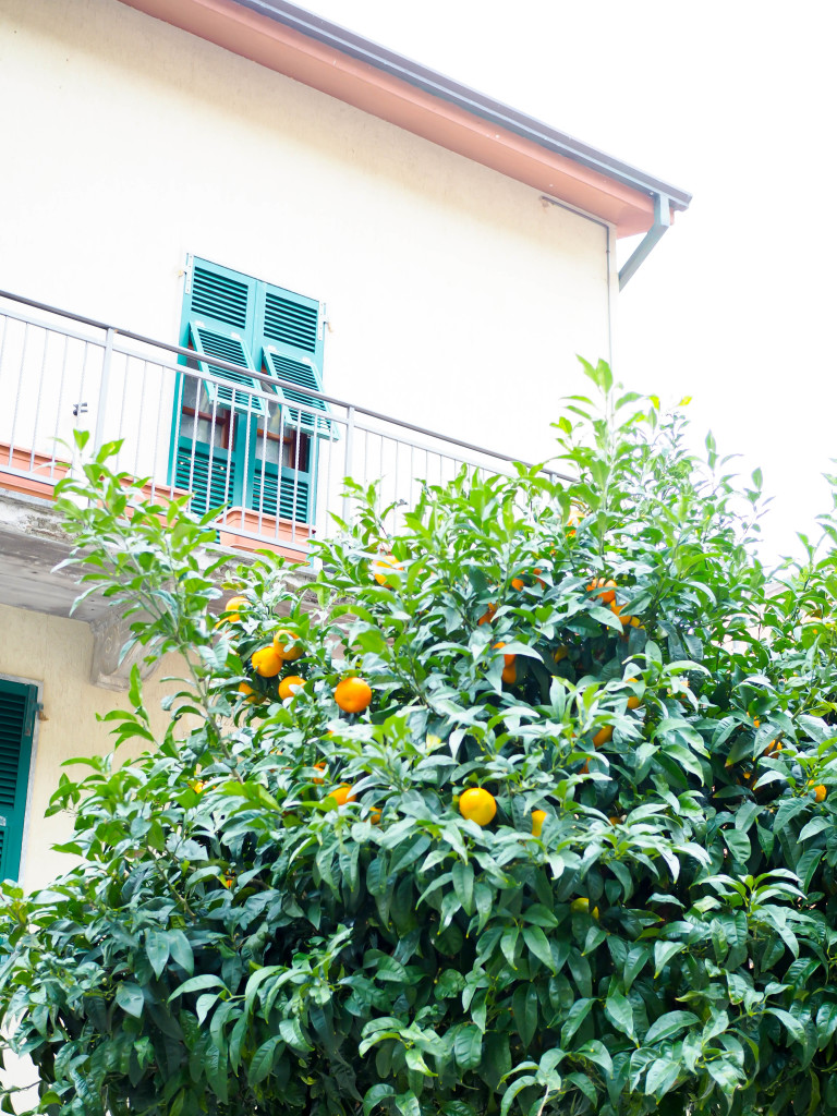 Riomaggiore