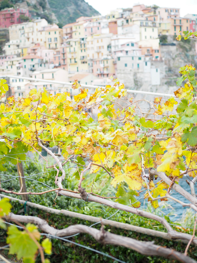 Manarola Italy