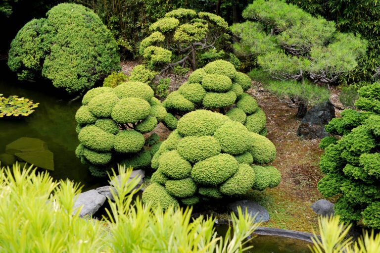 San Francisco Day Trip: Japanese Tea Garden