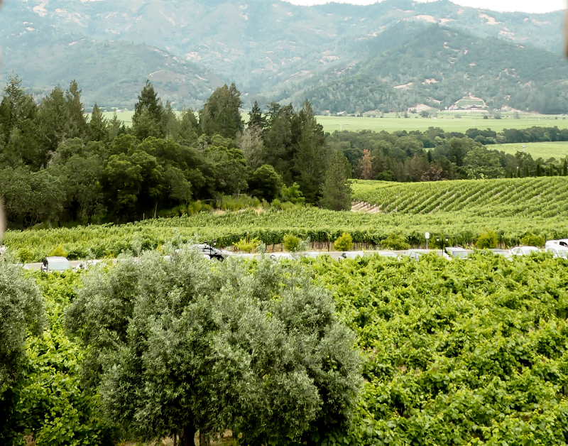 Napa Valley Day Trip Itinerary