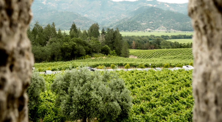 Napa Valley Day Trip Itinerary