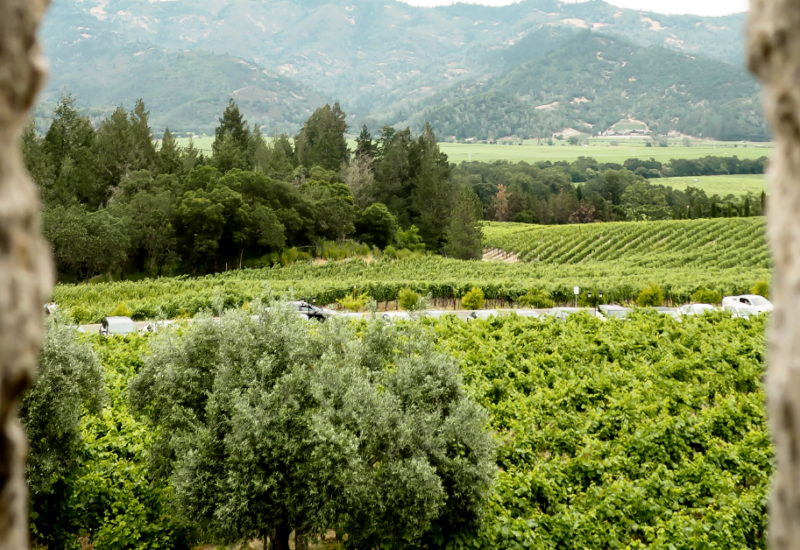 Napa Valley Day Trip Itinerary