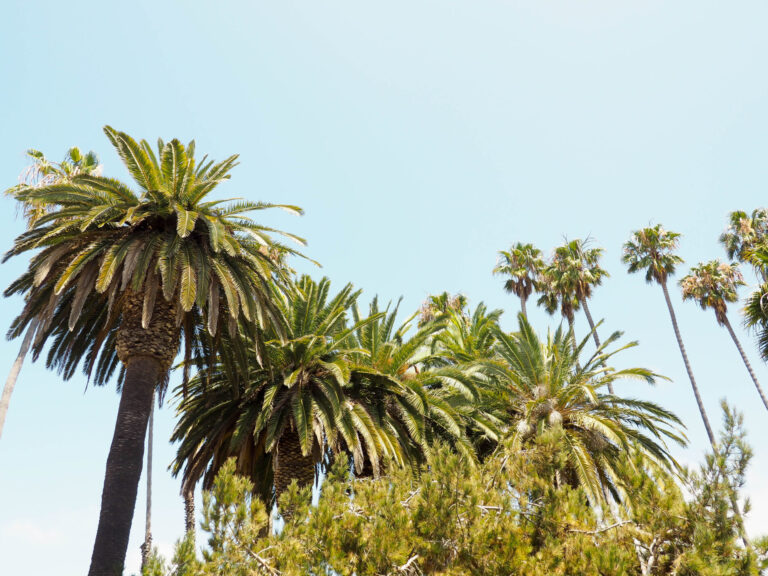 How to Spend One Day in Santa Barbara