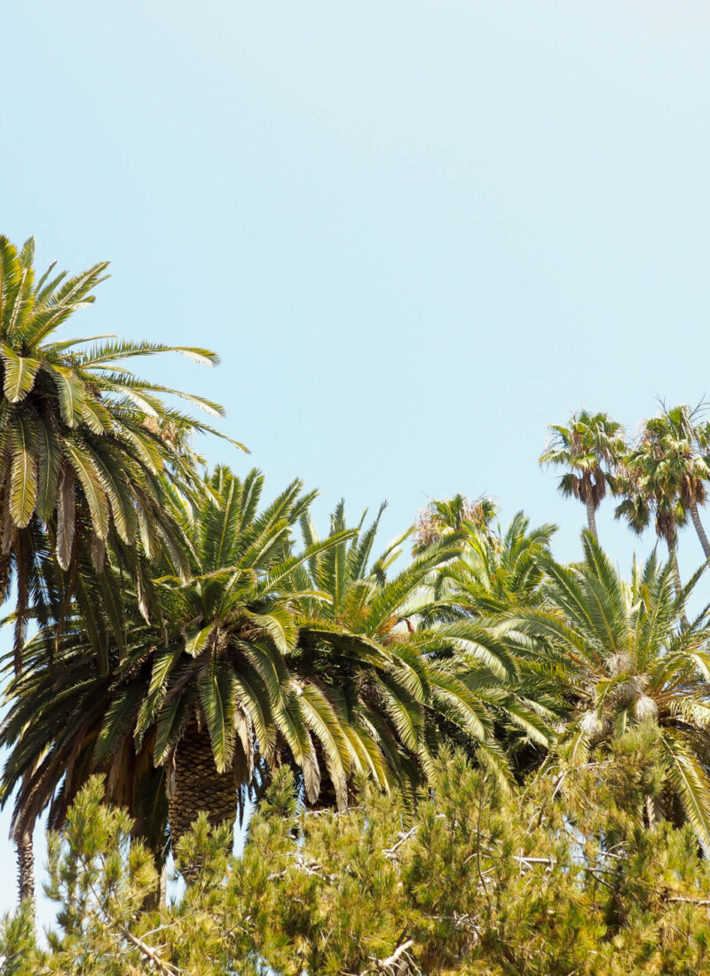 How to Spend One Day in Santa Barbara