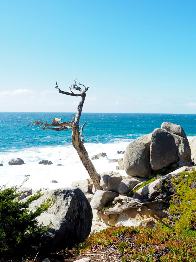 17 Mile Drive