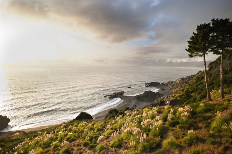 Tips for Visiting California’s Lost Coast: A Secluded Escape