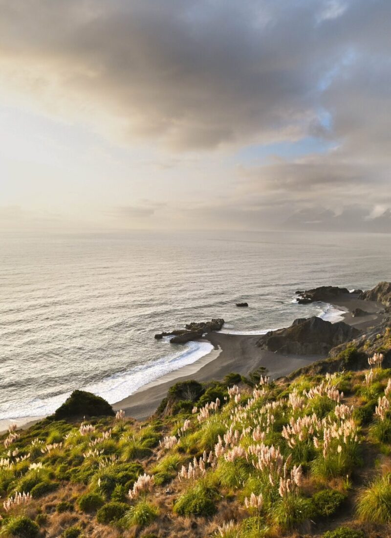 Tips for Visiting California’s Lost Coast: A Secluded Escape