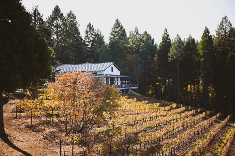 Must-Visit California Wine Regions that Aren’t Napa or Sonoma