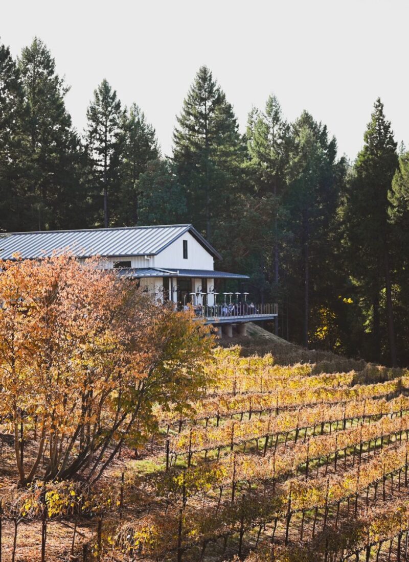 Must-Visit California Wine Regions that Aren’t Napa or Sonoma