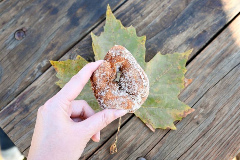 Apple Hill: A Guide to the Perfect California Fall Destination