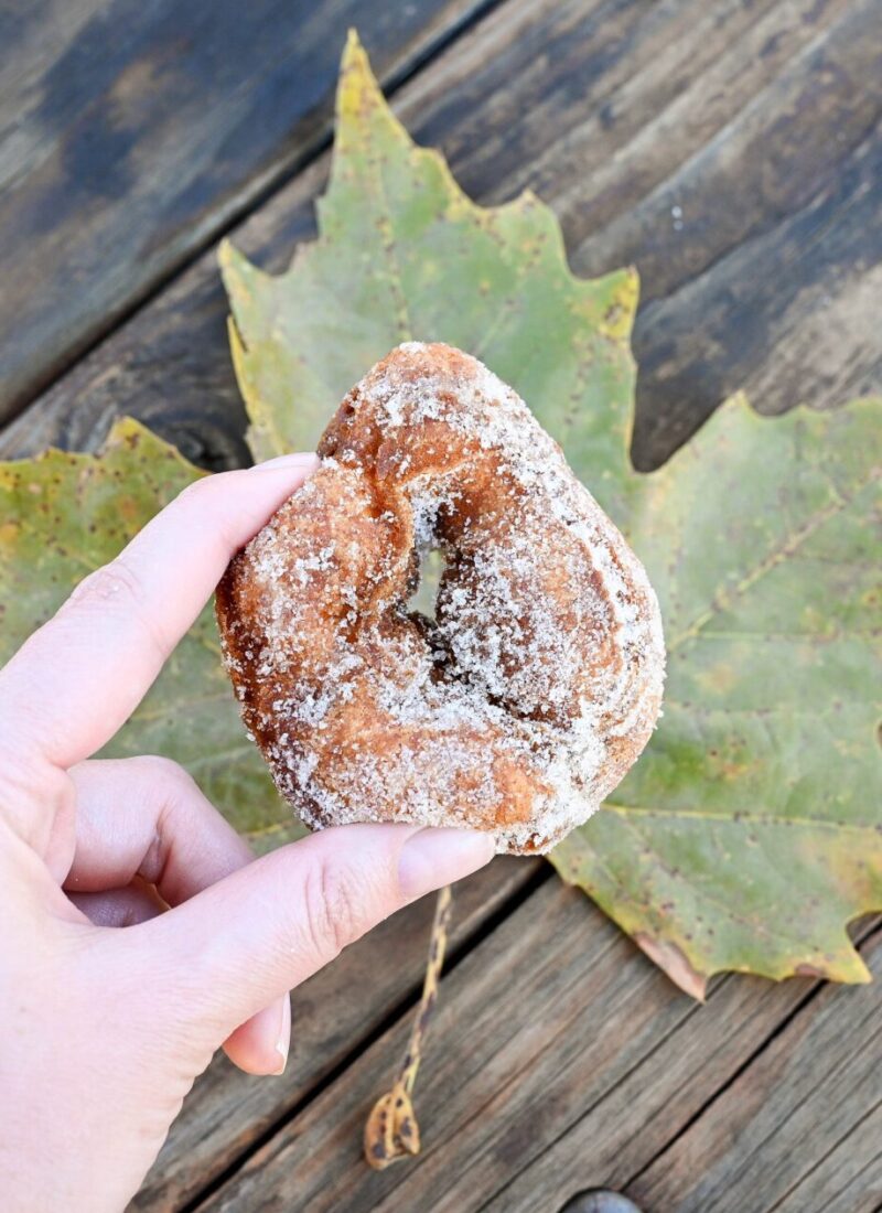 Apple Hill: A Guide to the Perfect California Fall Destination