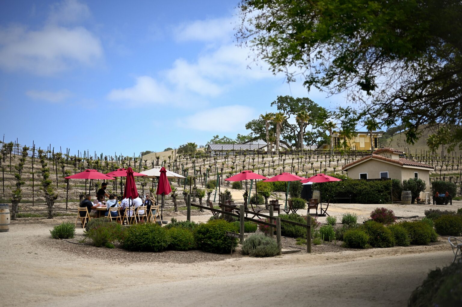 Geneseo Inn at Cass Winery Paso Robles' Most Unique