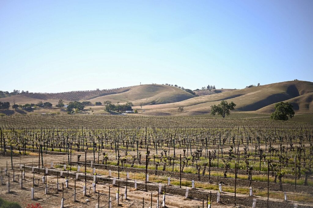 California wine regions that aren't Napa or Sonoma