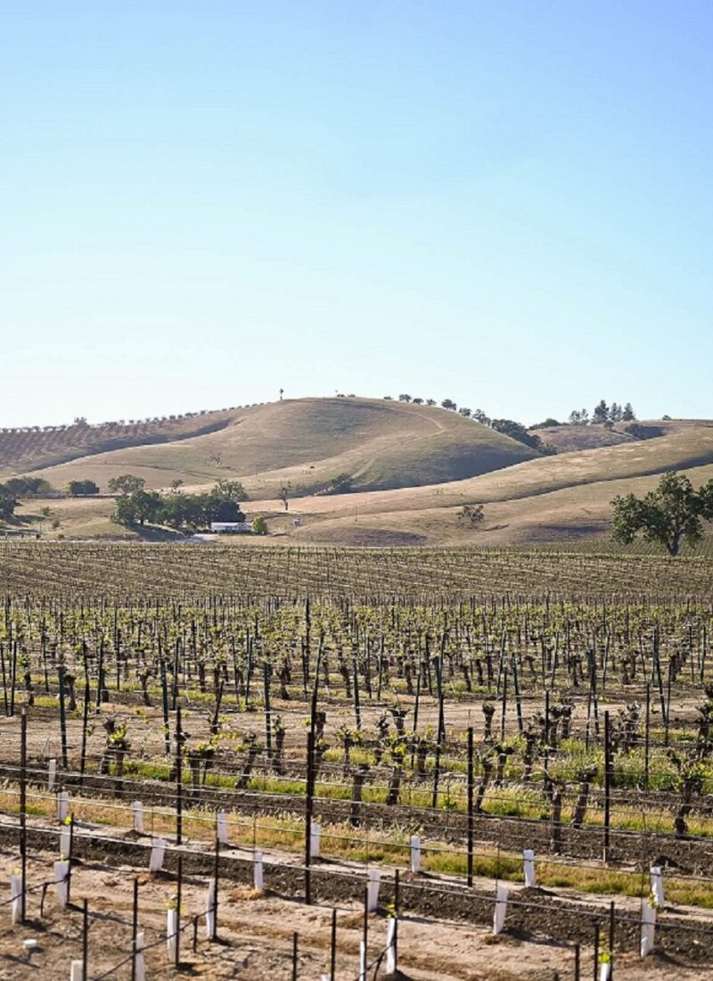 A Guide to Visiting Paso Robles Wine Country + Long Weekend Itinerary