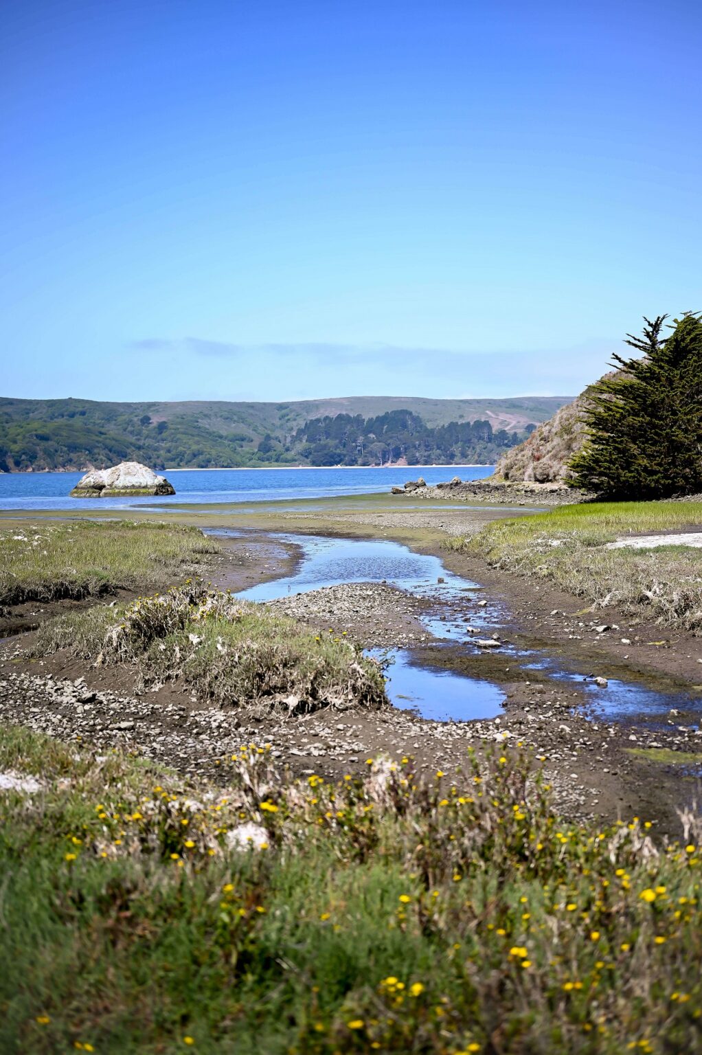 Point Reyes & Tomales Bay Day Trip Ideas from the San Francisco Bay