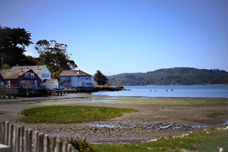 Point Reyes & Tomales Bay Day Trip Ideas from the San Francisco Bay Area