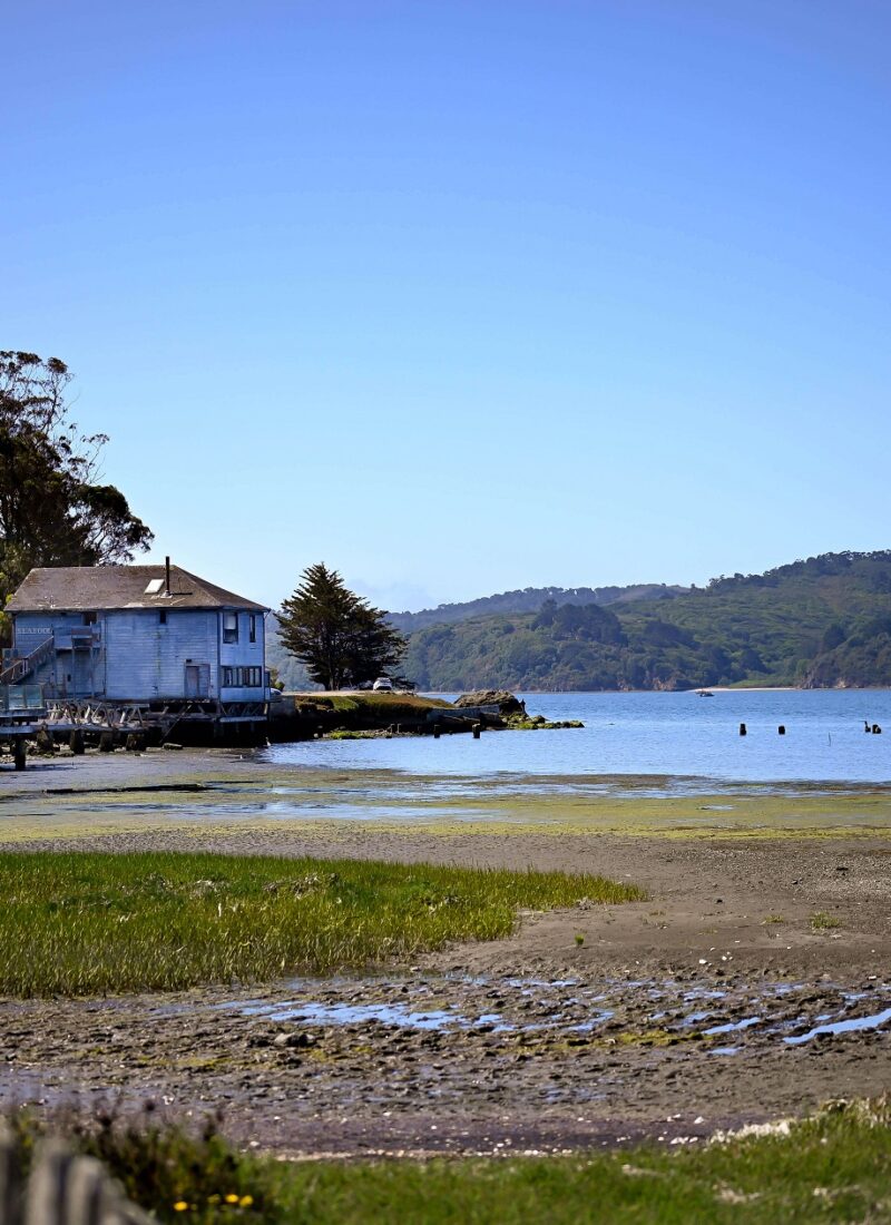 Point Reyes & Tomales Bay Day Trip Ideas from the San Francisco Bay Area