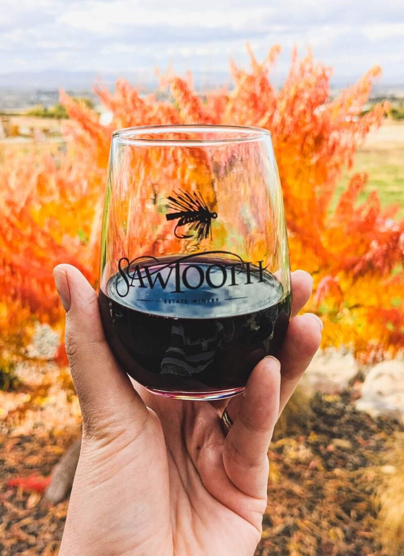 Wine Tasting Along Idaho’s Sunnyslope Wine Trail: Day Trip from Boise
