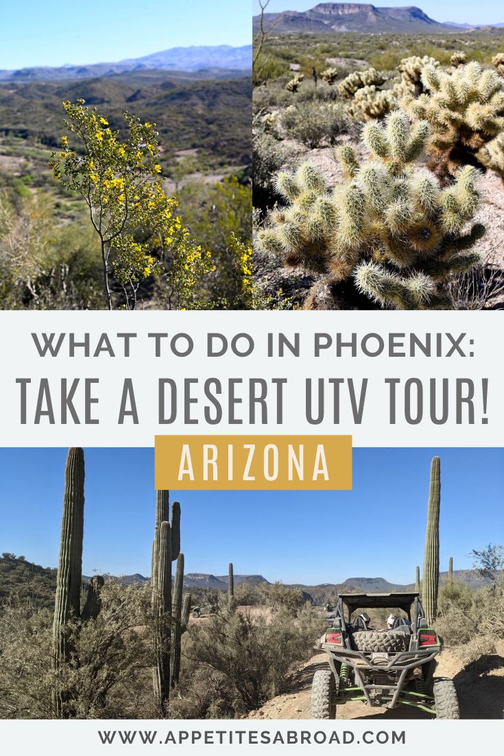 DesertUTVTourPhoenixArizona Appetites Abroad
