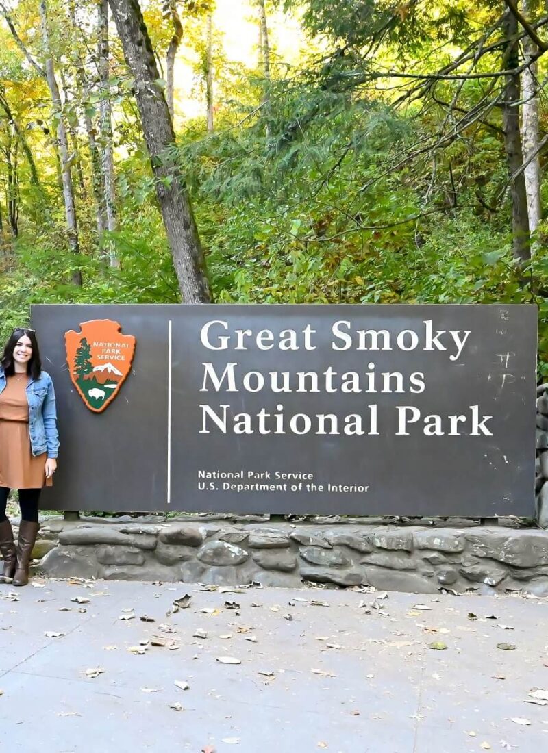 Great Smoky Mountains National Park Day Trip from Knoxville