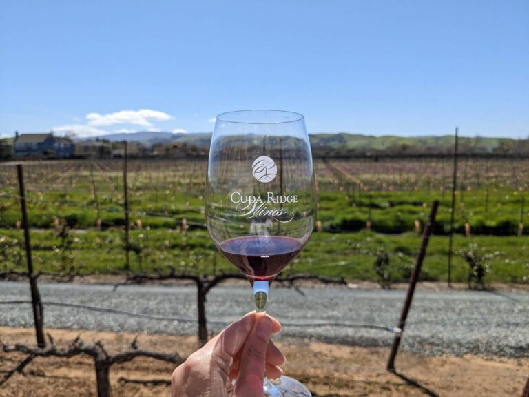 A Guide to Livermore Valley Wine Country: A Bay Area Wine & Foodie Haven