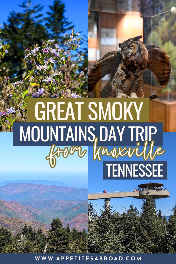 Smoky Mountains Day Trip from Knoxville Appetites Abroad