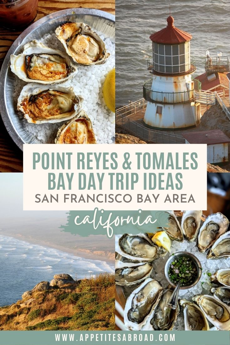 Point Reyes & Tomales Bay Day Trip Ideas from the San Francisco Bay ...