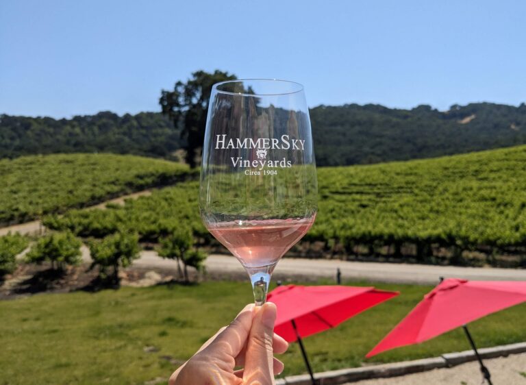 Paso Robles Bachelorette Weekend Itinerary: The Perfect Girls’ Getaway!