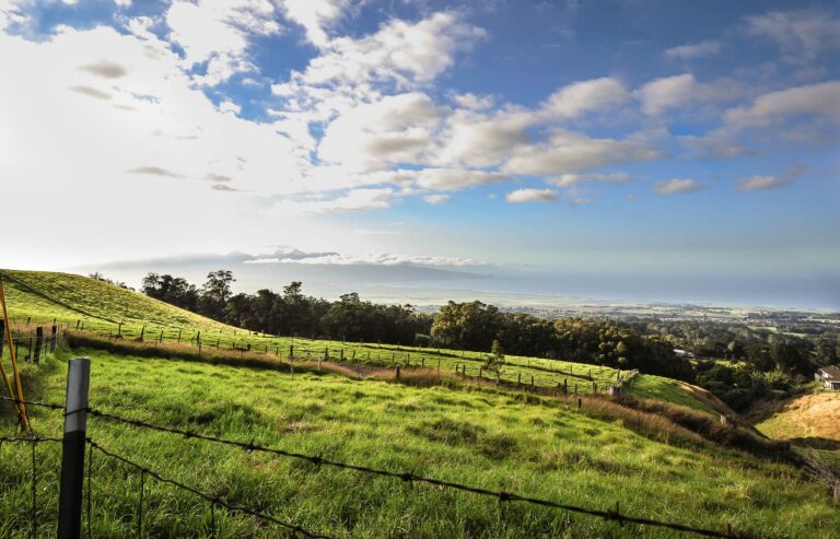 Best Things to Do in Upcountry Maui
