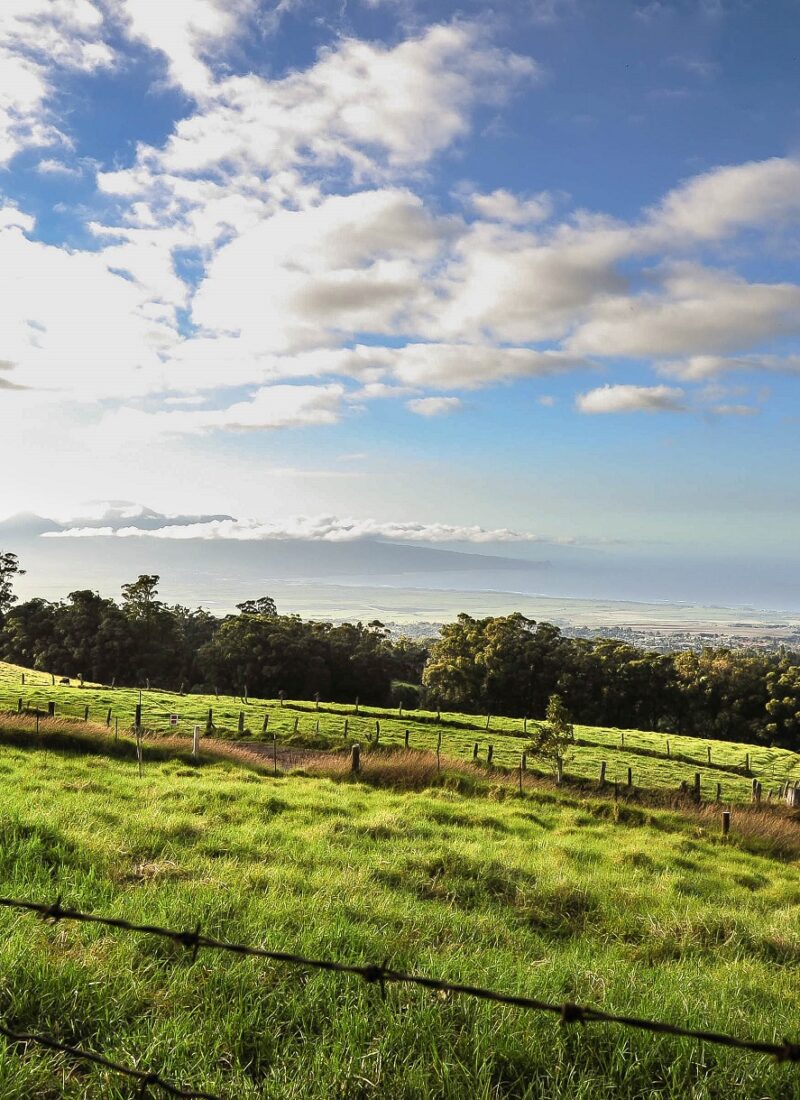 Best Things to Do in Upcountry Maui