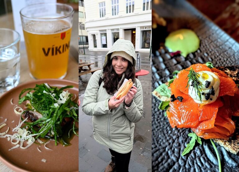 Reykjavik Food Tour Review: The Best Thing to do In Reykjavik for Iceland First-Timers